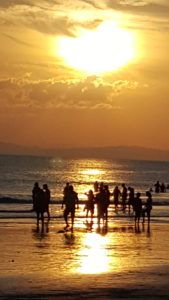 Havelock Island