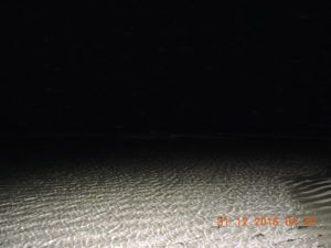 Havelock Island