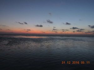 Havelock Island