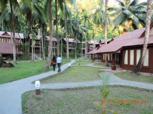 Havelock Island